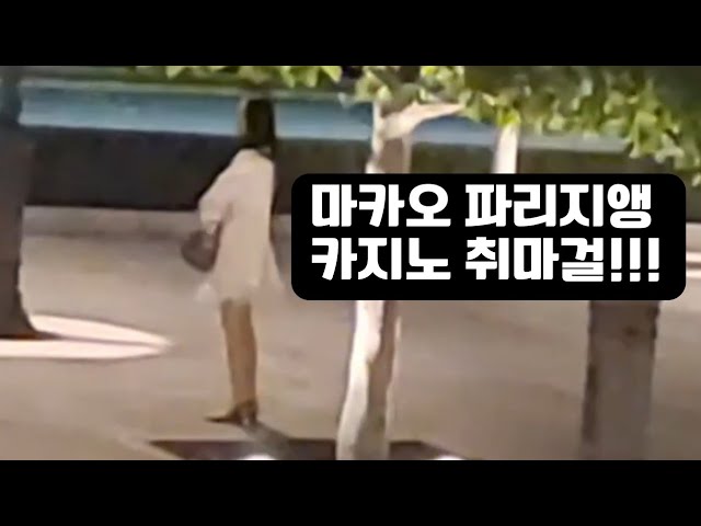 마카오 파리지앵 취마걸 리얼 라이브 - Youtube