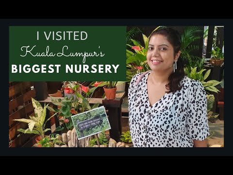 🌱Biggest Plant Nursery in Kuala Lumpur | Kim's Garden Tour💁‍♀️🌱🌺🌵🏵🌿