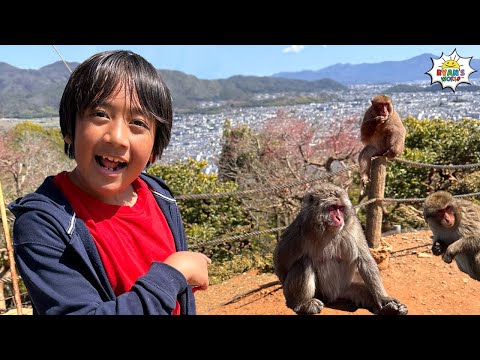 Ryan visits a Real life Monkey Park!