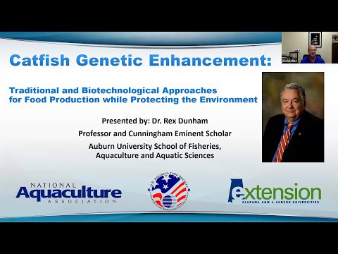 Genetically Modified Fish (GMO) Catfish Example - Dr. Rex Dunham